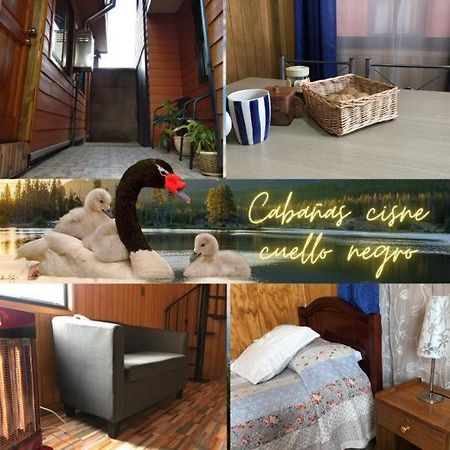 Cabanas Cisne Cuello Negro Valdivia Exterior foto
