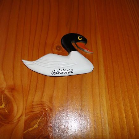 Cabanas Cisne Cuello Negro Valdivia Exterior foto